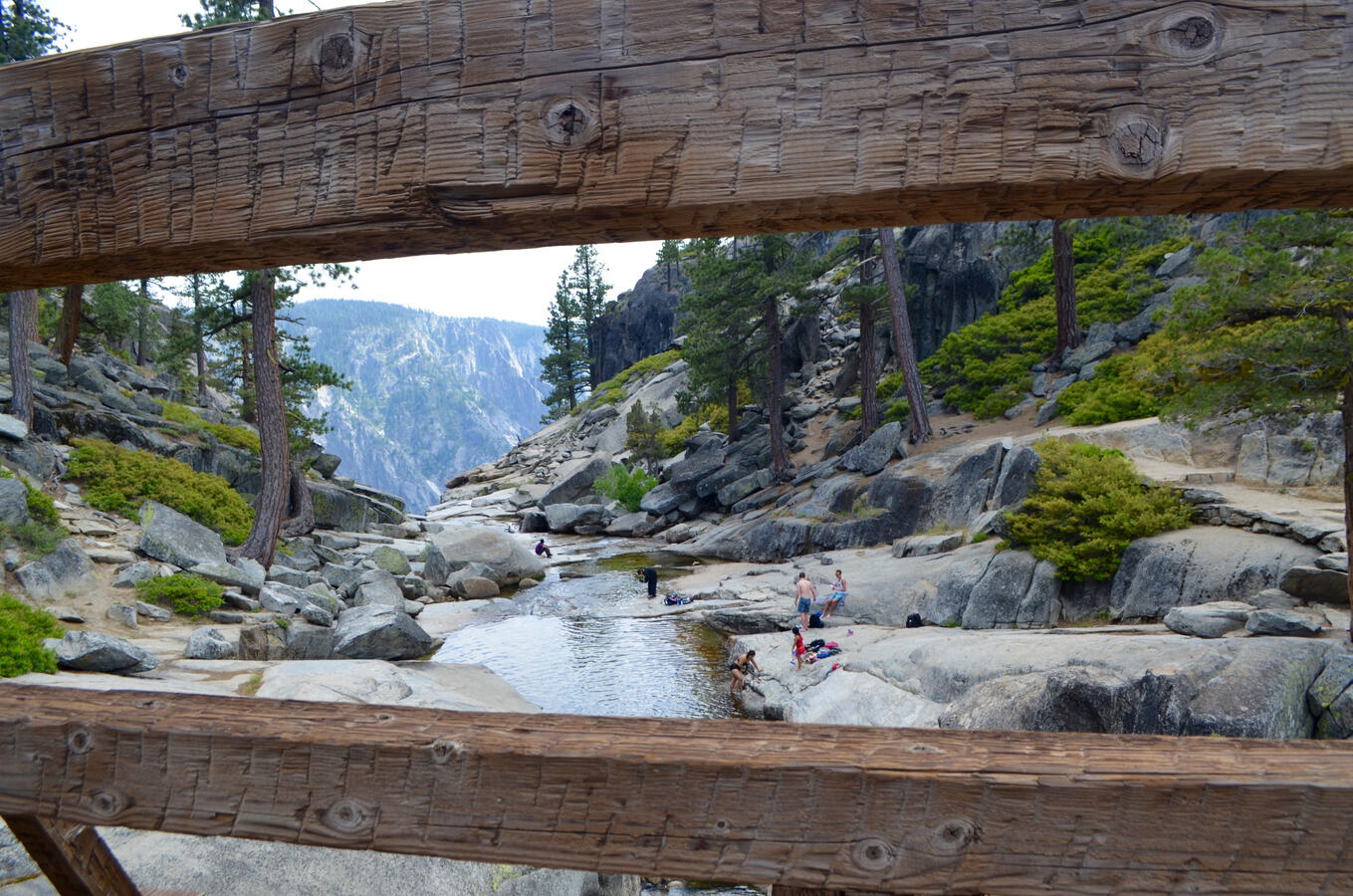 Bridging with Nature