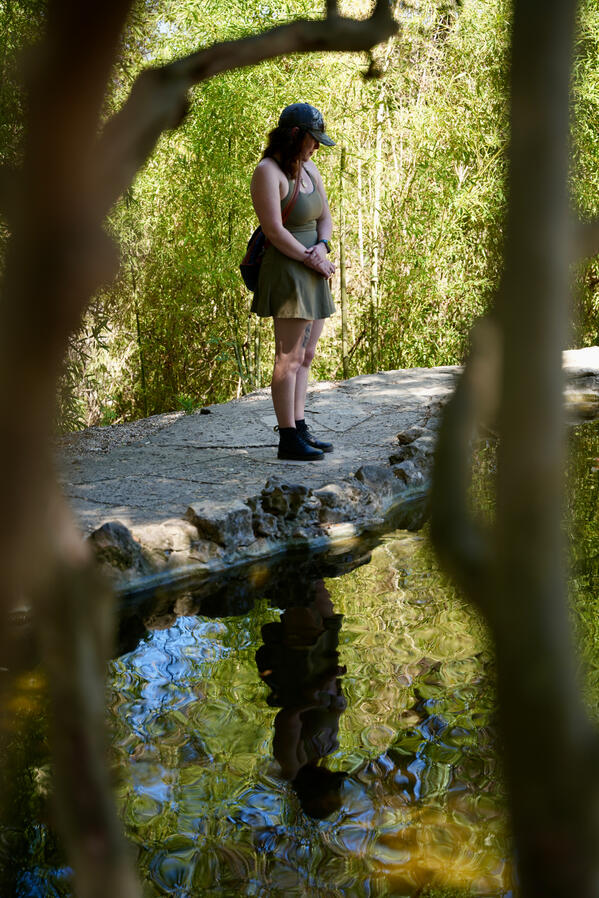 Reflection